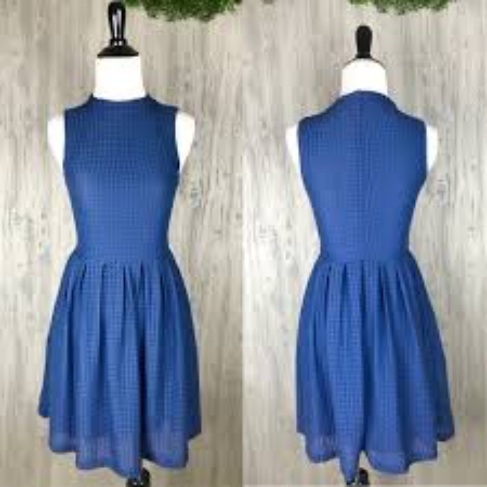 Anthropologe Deletta Cosgrove Blue Pleated Dress